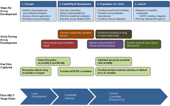 Pharmacodynamic Assay Development Pathway